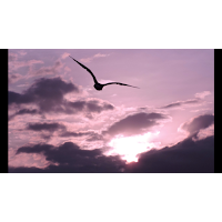 jose luis fernandez rojo