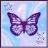 lilysmt