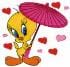 macaren