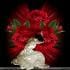 maggy_83