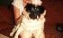maite_borja