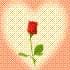 marce37