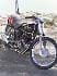 maxi666