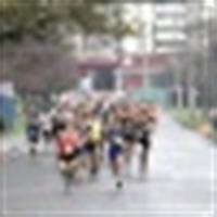 Fernando Torres Caceres