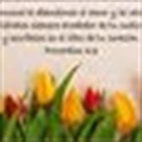 Joseph Manuel Carrillo Caceres