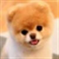 Maria Jose Quijano Gutierrez