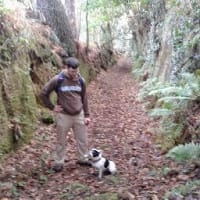 Victor Manuel Santos Santos