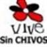 Victor Hugo Gomez Mora