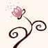 nashe