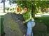 nataliahdc