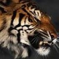 Mario Nuñez Jimenez