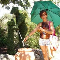 Purificacion Sesto Tejedor