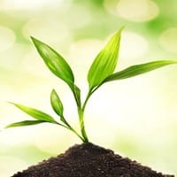 numerobix PlanetaInformatico.es