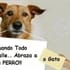mayite