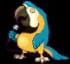 pato31