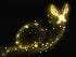 paty_12