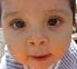 pollux_troy