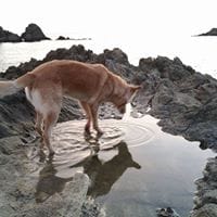 Sabrina López Liñan