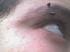razo_69