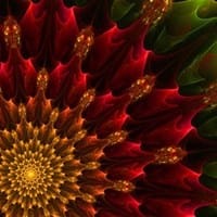 rosarioc79