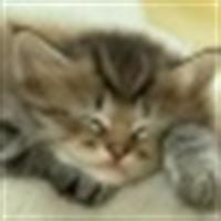 Mercedes Saucedo Cerdera