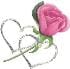 salmaely