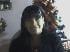 sergi0210