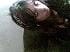 shubi