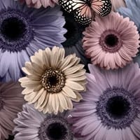 Alejandra Vilares González