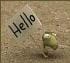 sr_wilson