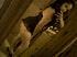 suleima_r