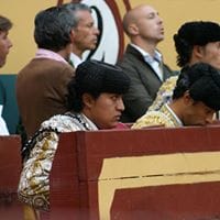 Torero El Tortuga II
