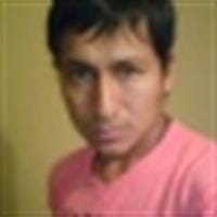 Cerne Livio Mamani Alejandro