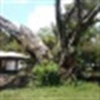 Jose Carlos Martín Valenzuela