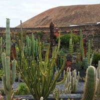 Rafa Martinez Medina