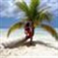 Jose David Quezada Maureira