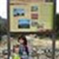 Fernando Clos Campos