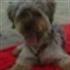 Hector Gomez Fernandez
