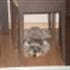 Angel Arroyo Jimenez