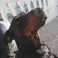 Farruk Diego Es Autentico