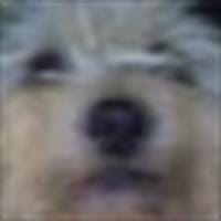 Matematico A Distancia