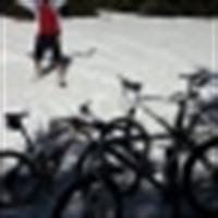 Roberto Rodriguez Mahia