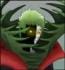 zetsu8