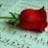 Lizbeth Iliana Juan Carmona