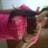 Alondraa  Mezza