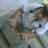 AldOo Adriian Javvo