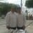 Marco Rebuk Mne Navarrete Mendez