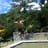 Stewart Parra Lemos