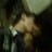 Brandon Eijo