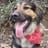 Yayo Tataie
